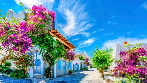 Houses in Bodrum City Centre