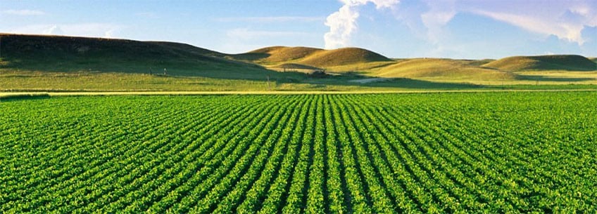 Agricultural Land in Turkey