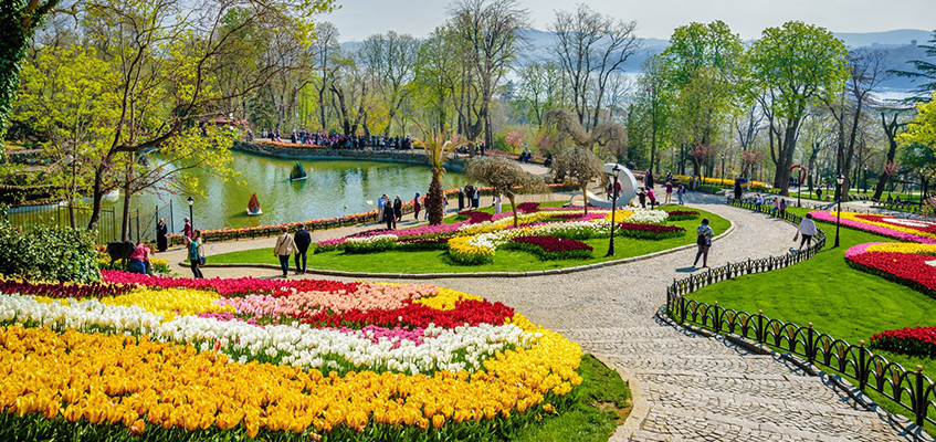 Istanbul Tulip Festival