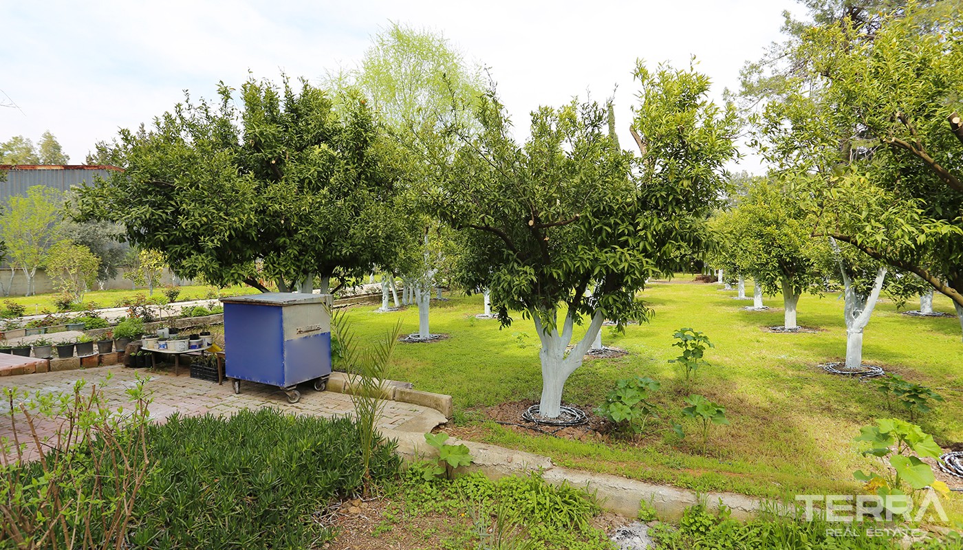 Nature-view Villas with Private Pool & Garden in Konyaaltı Antalya - 26516
