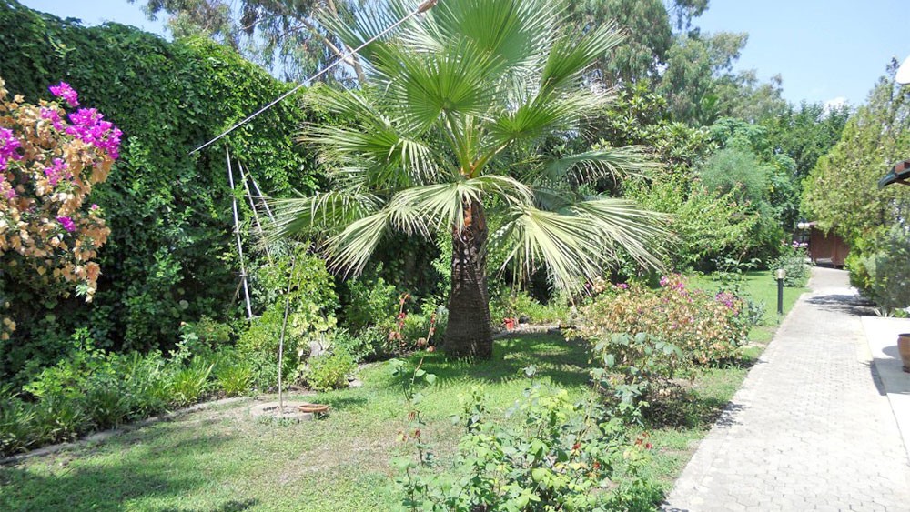 Authentic Turkish House for Sale with Communal Pool in Çamyuva - 26539