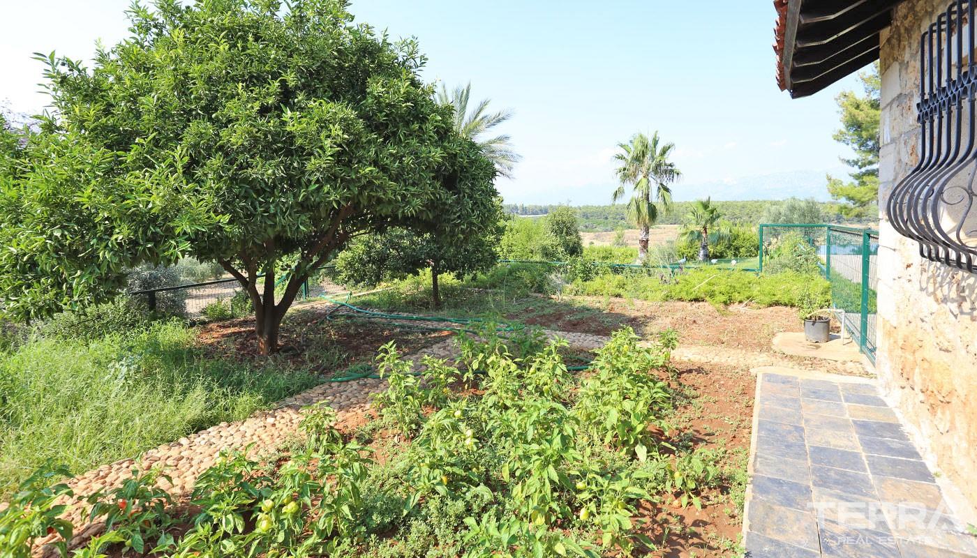 Exclusive Stone House for Sale in Antalya Aksu with Large Farming Plot - 31737