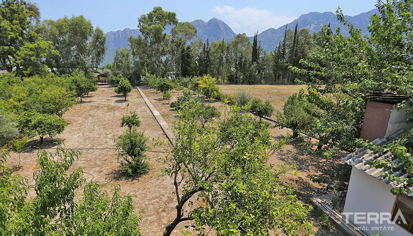 Resale House with Large Plot for Sale in Konyaaltı Antalya - 34844