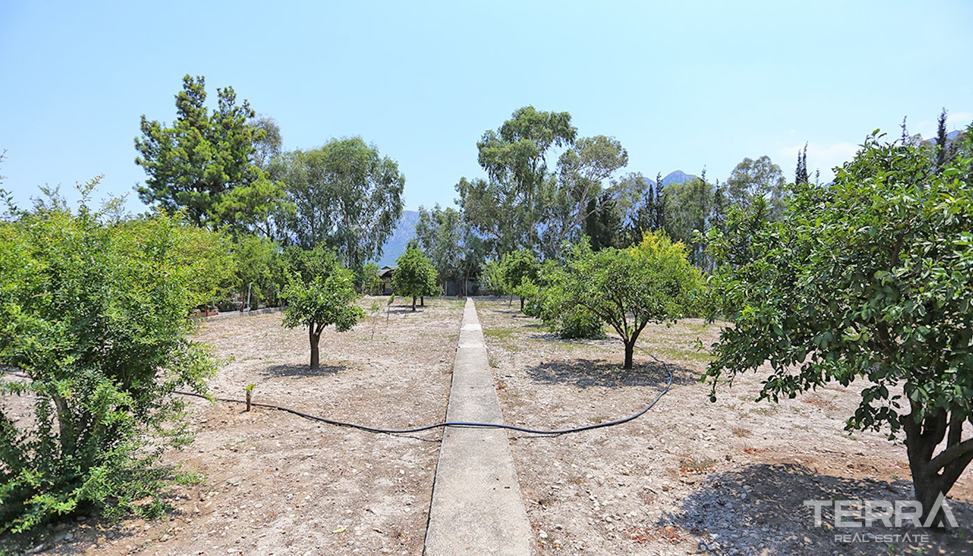 Resale House with Large Plot for Sale in Konyaaltı Antalya - 34859