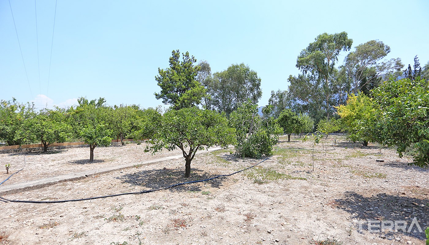 Resale House with Large Plot for Sale in Konyaaltı Antalya - 34864