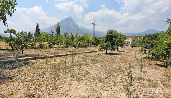 Maison Revente Avec Un Vaste Terrain à Antalya Konyaaltı
