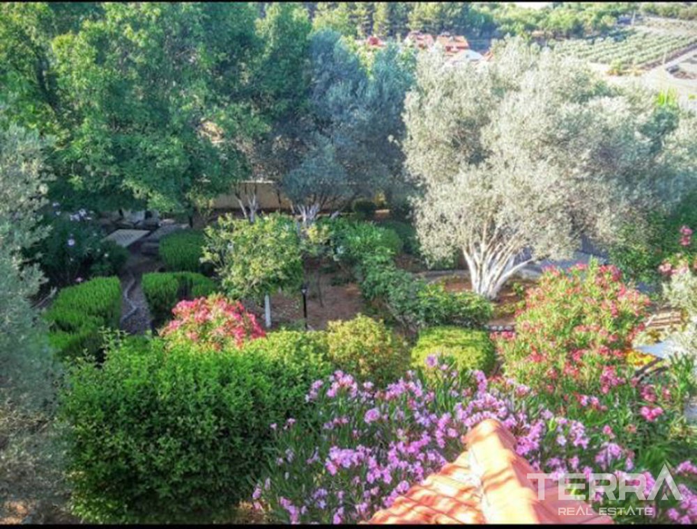 Comfortable Renewed Villa With a Large Garden & Pool in Fethiye Ovacık - 39747