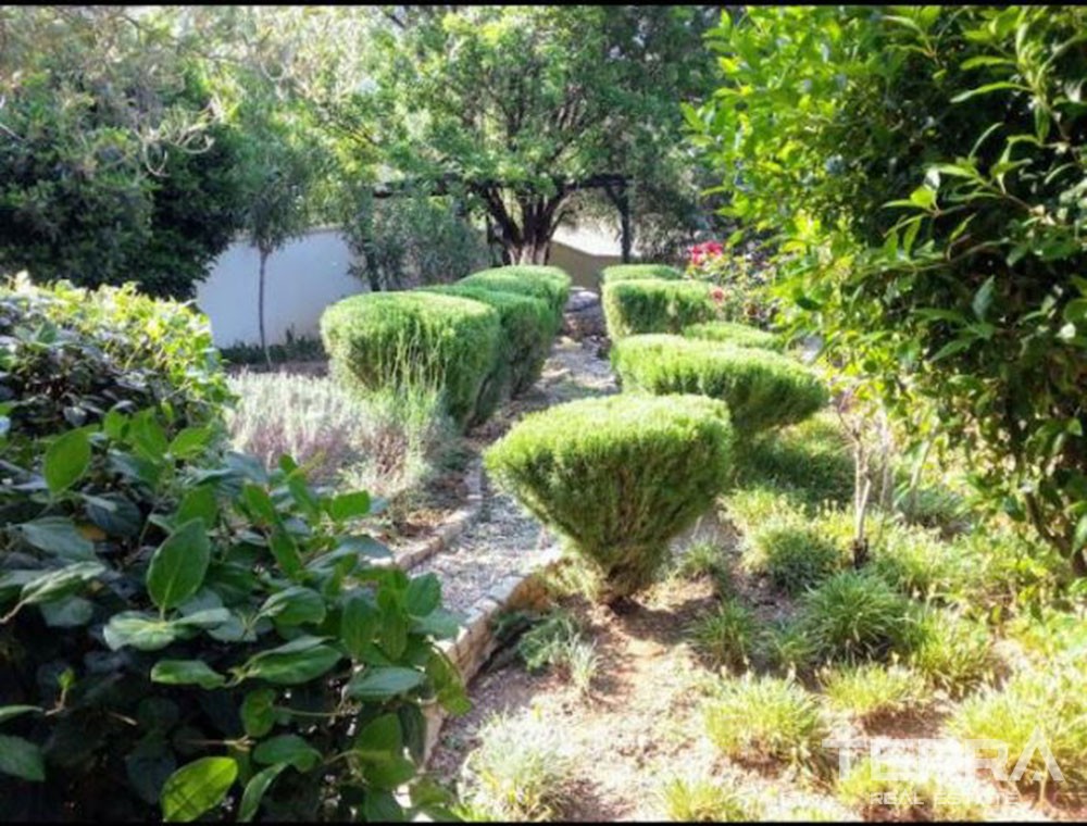Comfortable Renewed Villa With a Large Garden & Pool in Fethiye Ovacık - 39757