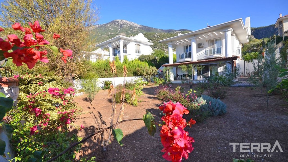 Comfortable Separate Villa with Nice View Resale in Ovacık Fethiye - 41616