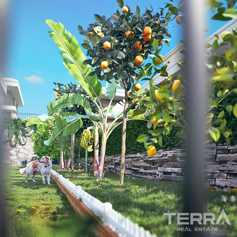 Excellent New Houses for Sale in Ecological Region of Alanya Kargıcak