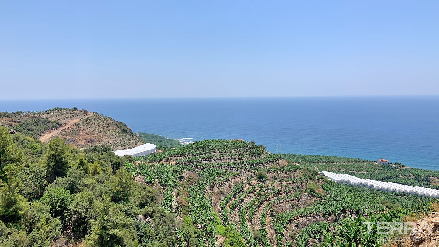 Delightful Detached Villas with Panoramic Sea View to Buy in Alanya - 43929