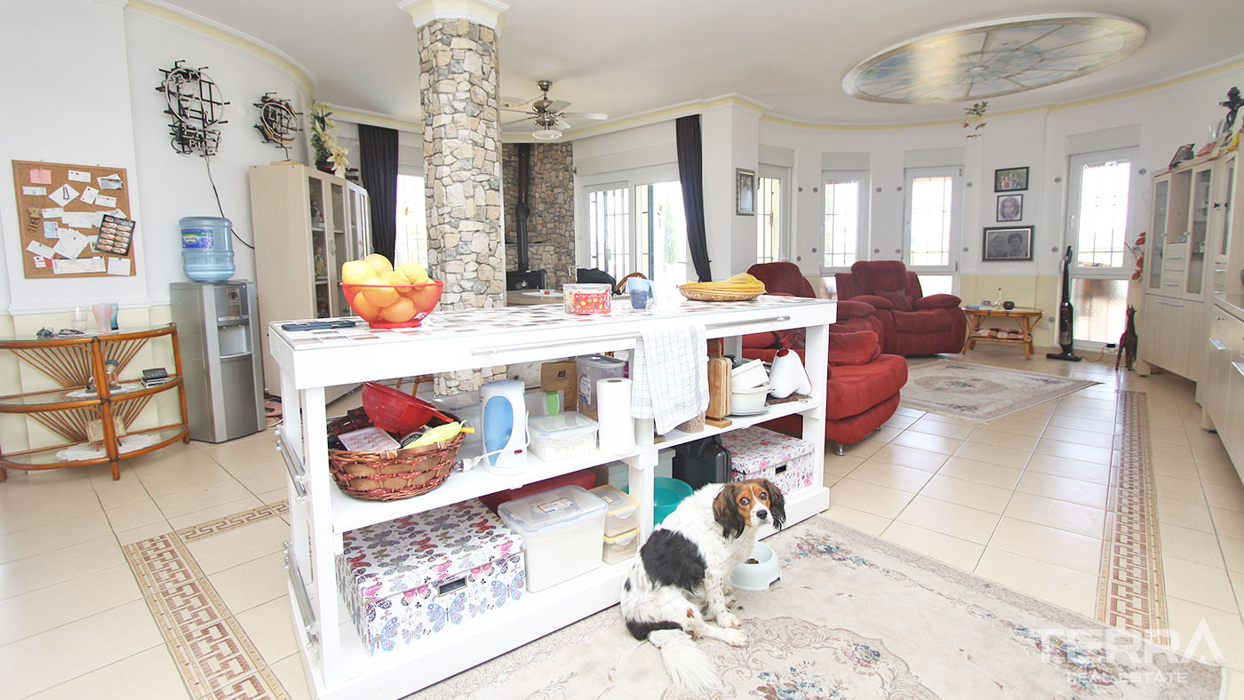 Furnished Detached Villa with Swimming Pool to Buy in Avsallar Alanya - 50531