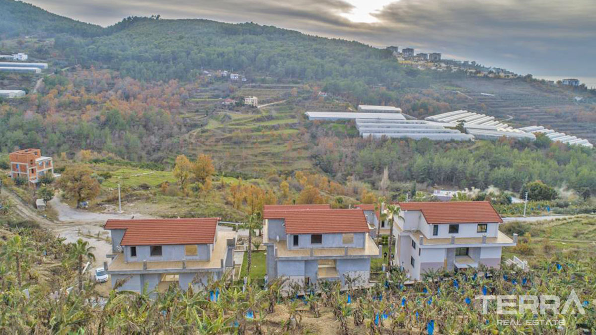 Large Detached Sea View Villas with Swimming Pool in Alanya Kargıcak - 54310