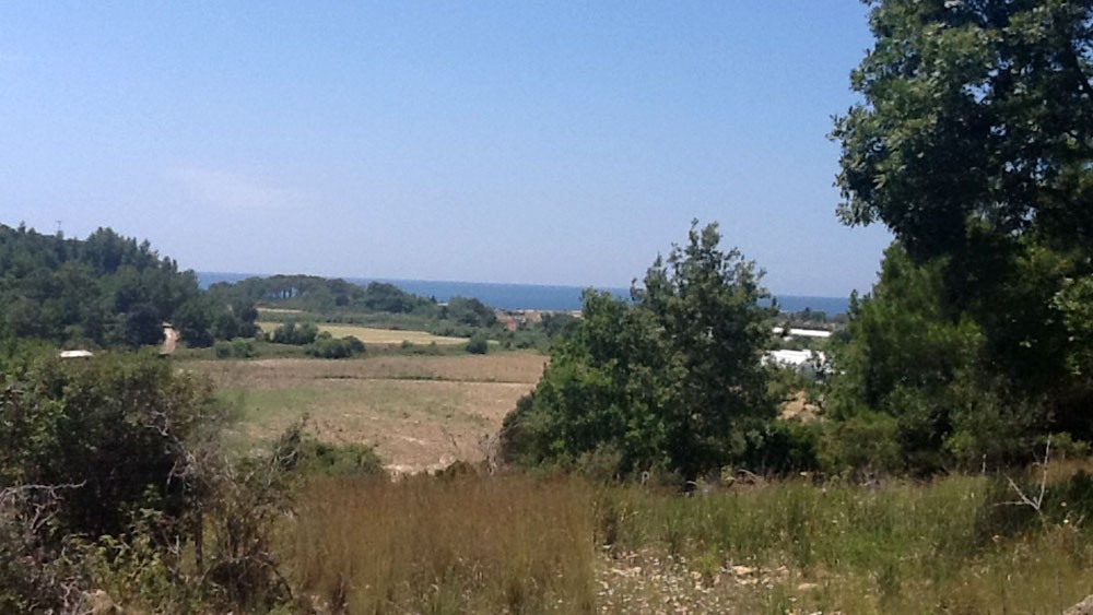9948 m2 land for sale in Örenşehir, Manavgat - 1540