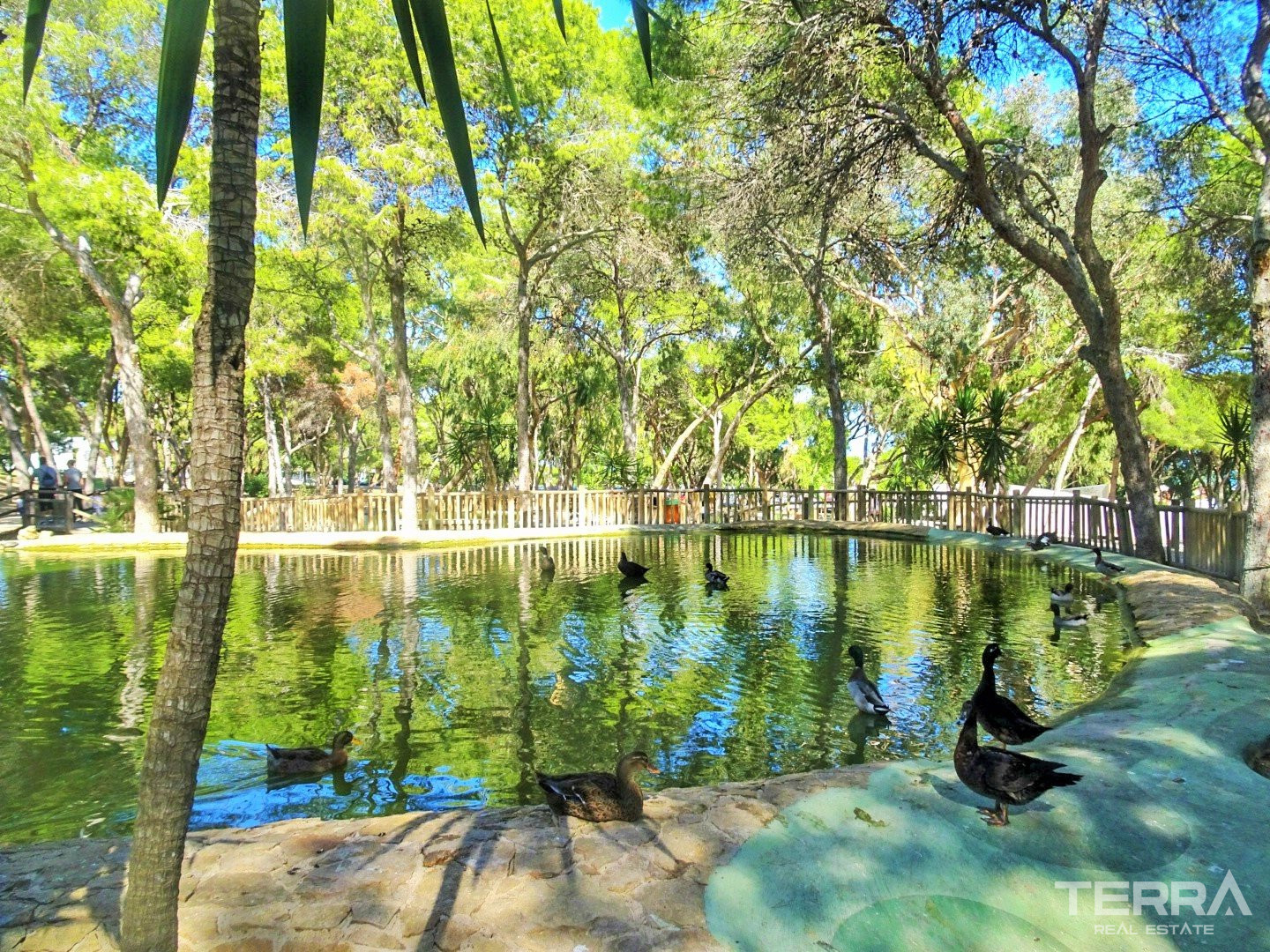 Modern Sea View Apartments for Sale in Guardamar, Costa Blanca - 105454