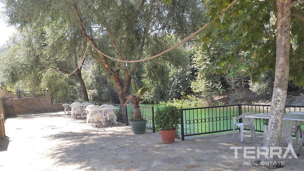 Luxury terrace apartments in Alanya, Kestel next to Dim River - 29993