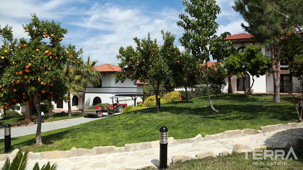 Fully Furnished Houses for sale with Hotel Concept close to Belek - 10765