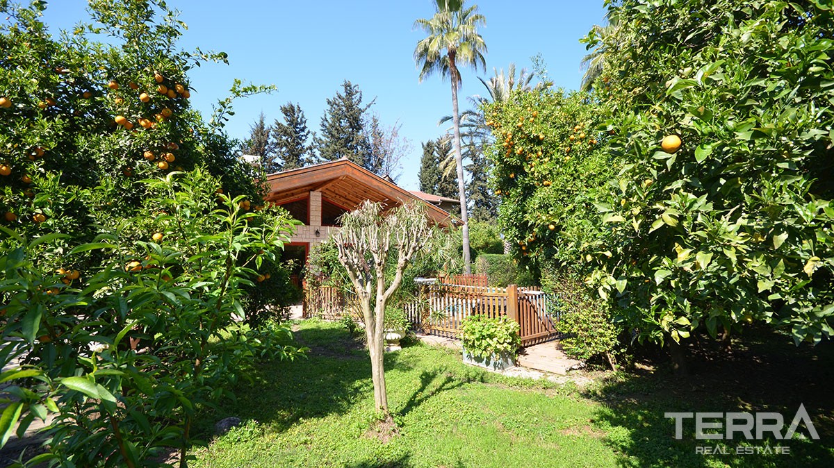 Atemberaubendes Haus zum Verkauf mit einem riesigen Garten in Oba, Ala - 11359