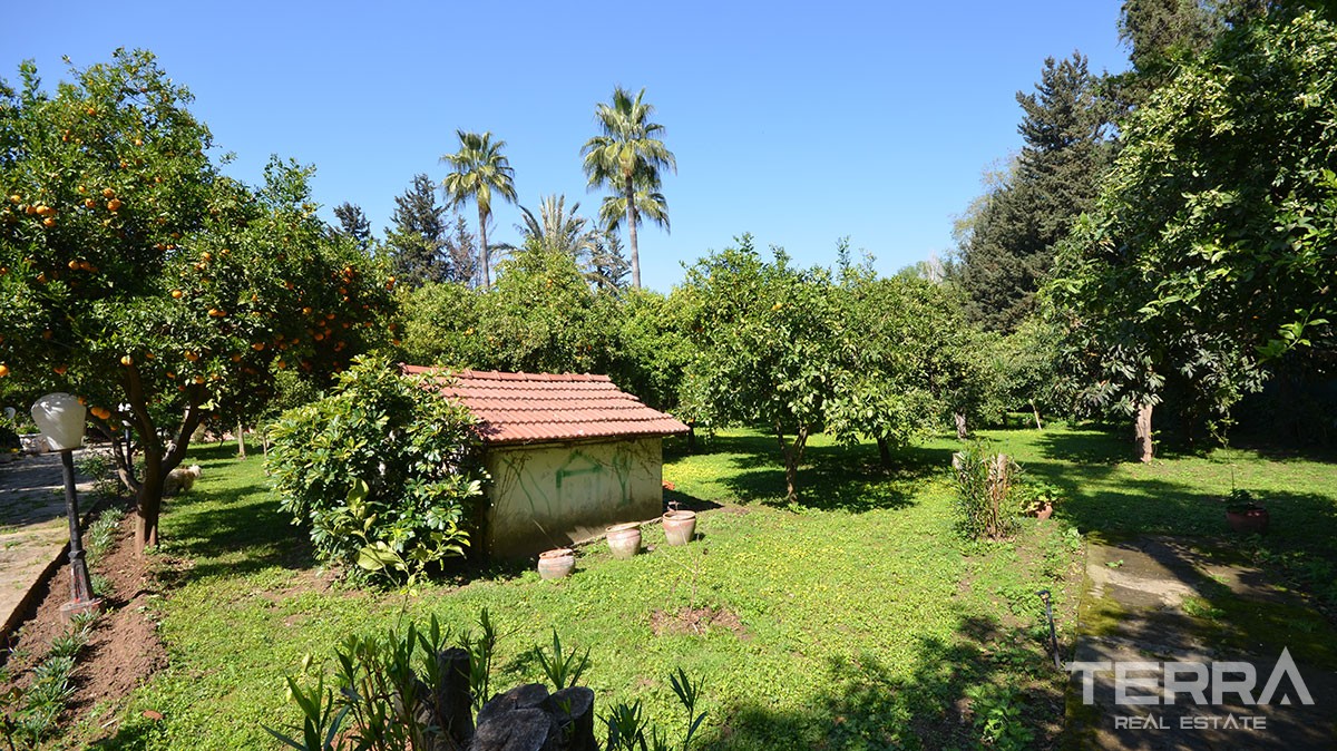 Atemberaubendes Haus zum Verkauf mit einem riesigen Garten in Oba, Ala - 11384