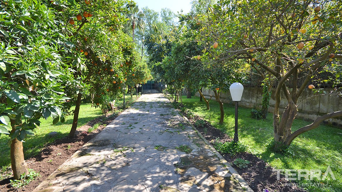 Atemberaubendes Haus zum Verkauf mit einem riesigen Garten in Oba, Ala - 11388