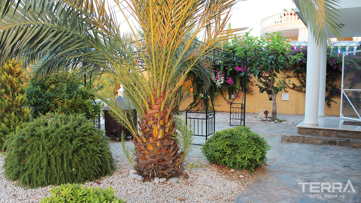 Freistehende Villa zum Verkauf in Kargıcak, Alanya zu günstige Preise - 48033