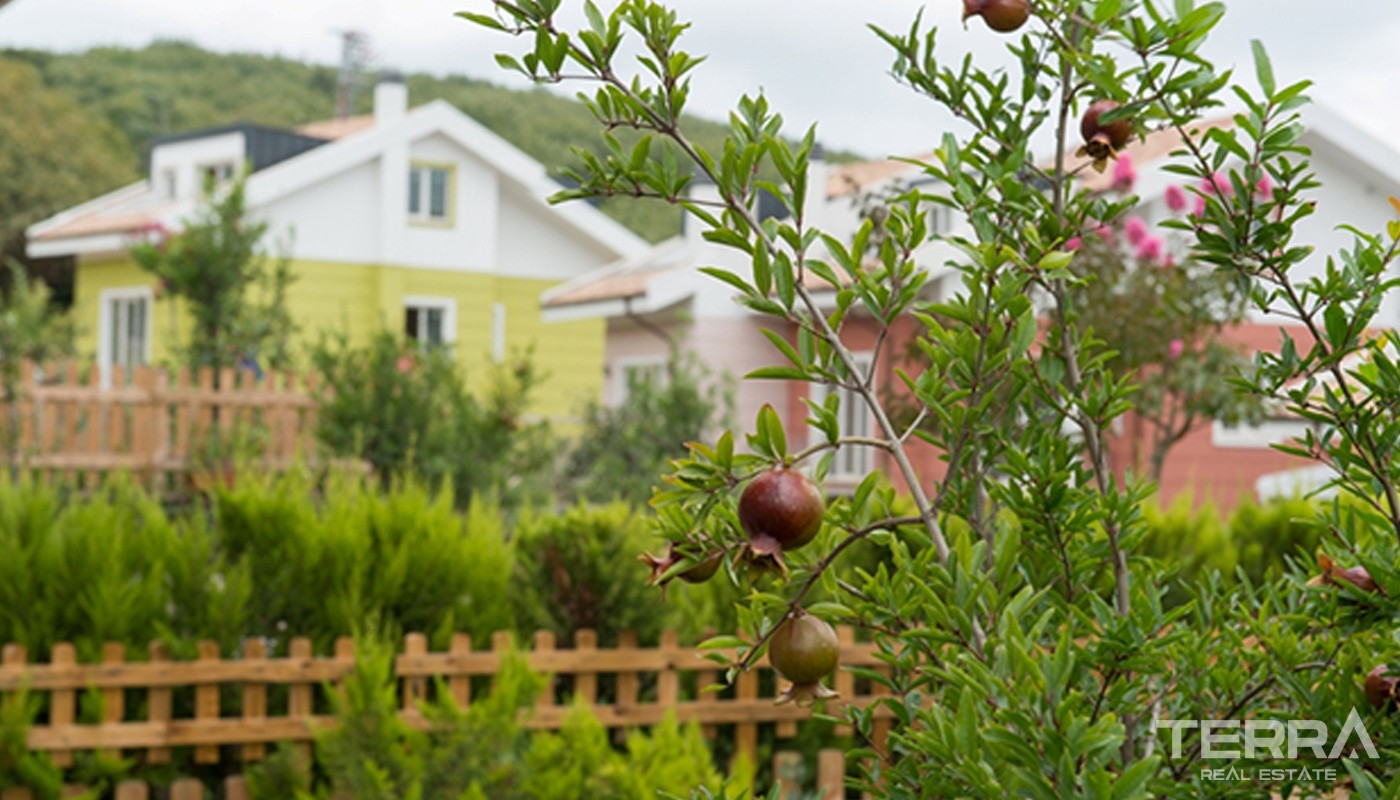 Exclusive Nature-Friendly Istanbul Villas Surrounded by the Forest - 16956