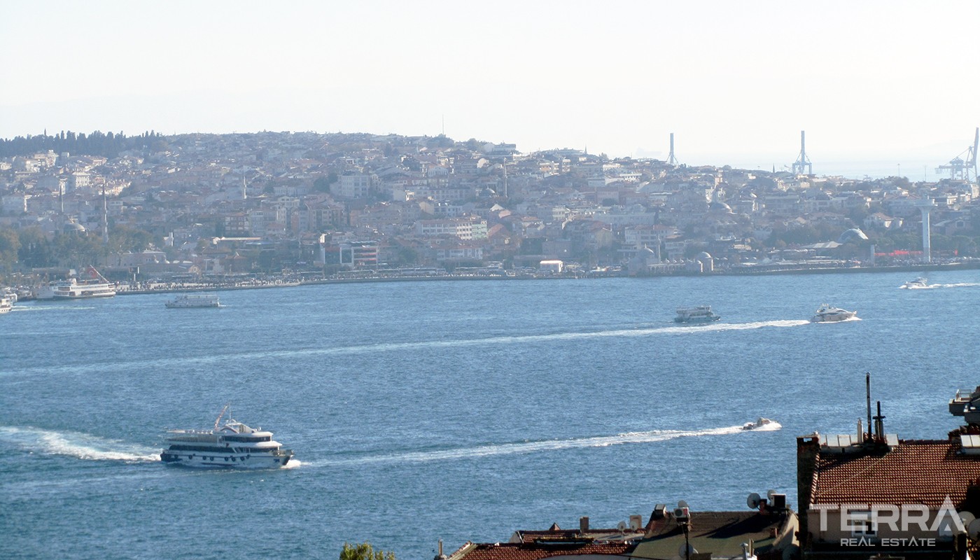 Spacious Apartment With Bosphorus View in Istanbul Beşiktaş - 19676