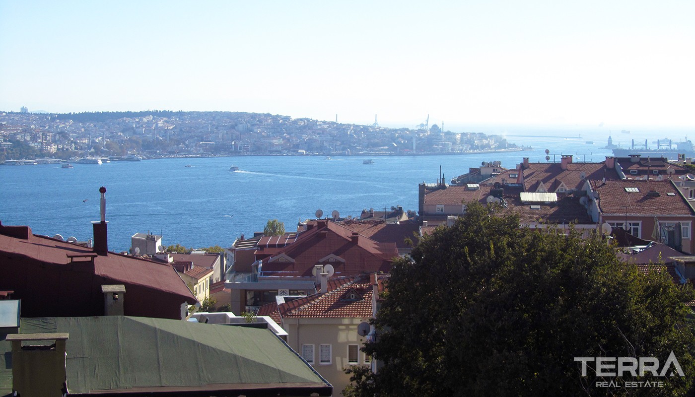 Spacious Apartment With Bosphorus View in Istanbul Beşiktaş - 19678