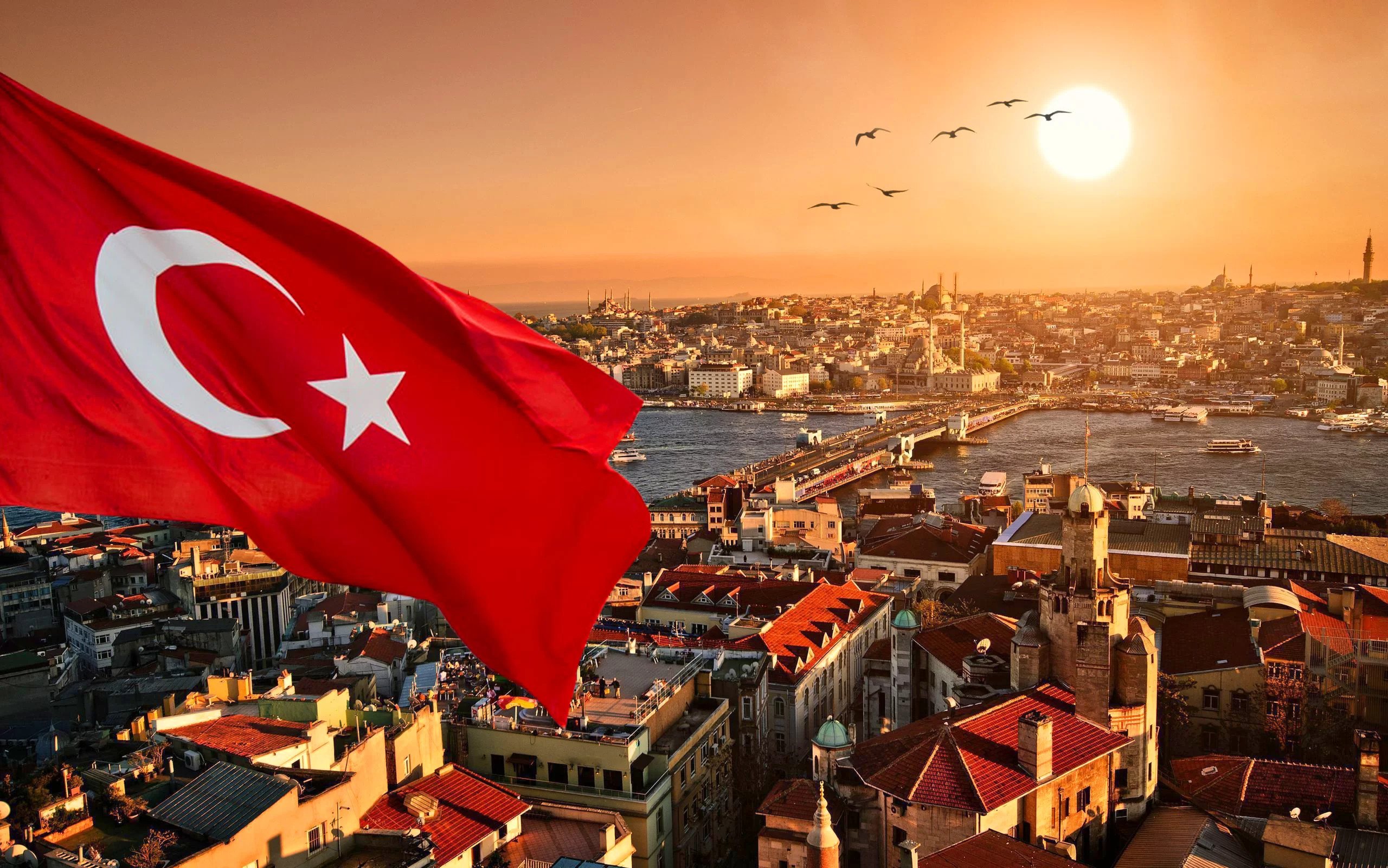 Ein Leitfaden für ausländische Investitionen in der Türkei
